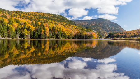 Physician Jobs – Upstate New York